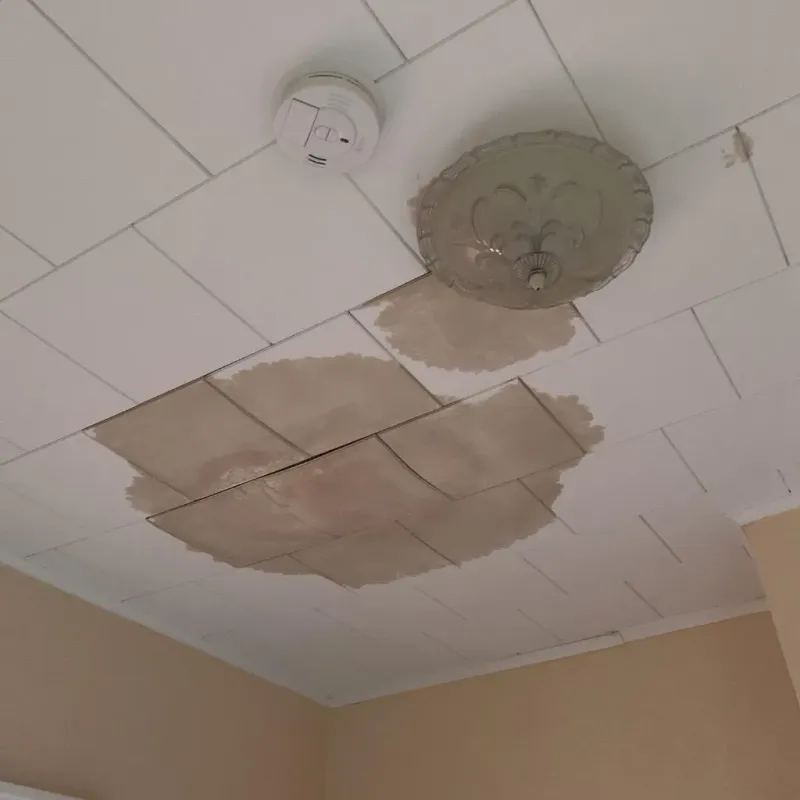 Ceiling Water Damage Repair in Fincastle, TN