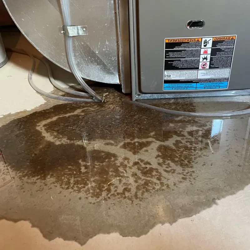 Pipe Burst and Leak Restoration in Fincastle, TN