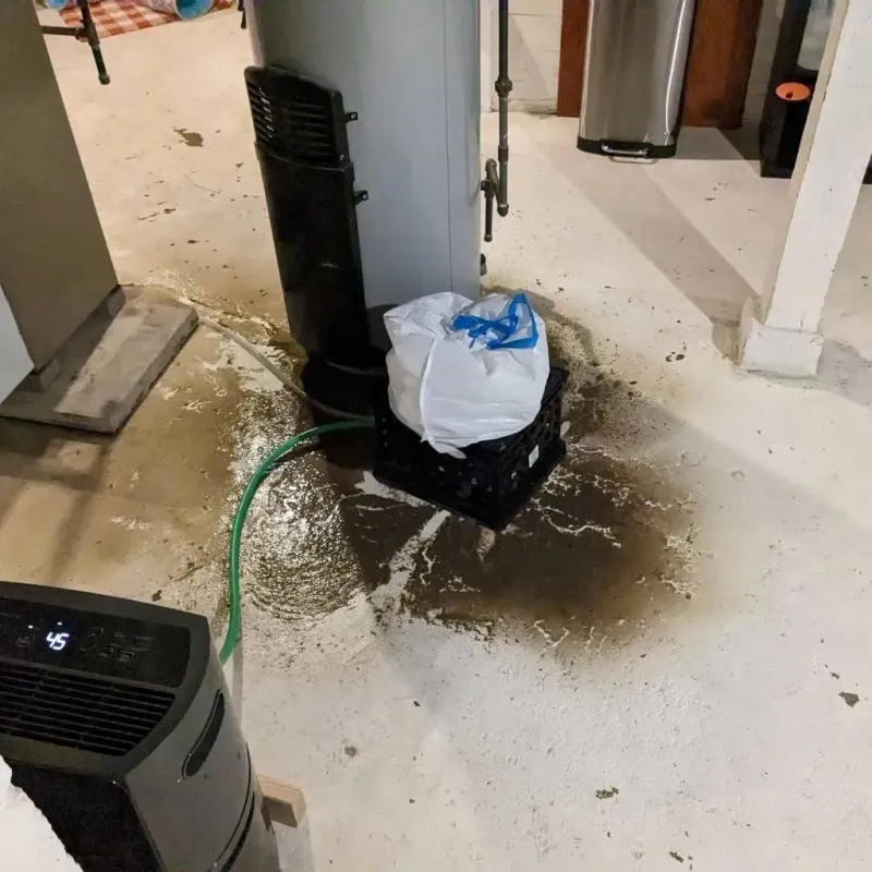 Sewage Backup Cleanup Service in Fincastle, TN